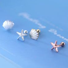 Laden Sie das Bild in den Galerie-Viewer, Seestern-Muschel Ohrstecker aus Silber