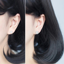 Laden Sie das Bild in den Galerie-Viewer, Steppenläufer Ohrstecker aus Silber