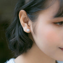 Laden Sie das Bild in den Galerie-Viewer, Steppenläufer Ohrstecker aus Silber