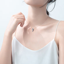 Laden Sie das Bild in den Galerie-Viewer, Delfin Halskette aus Silber